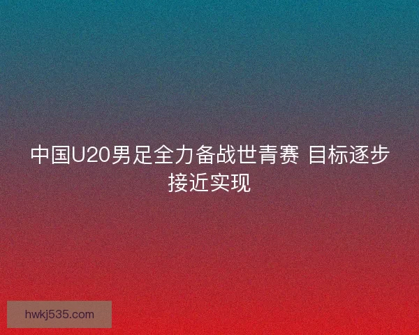 中国U20男足全力备战世青赛 目标逐步接近实现