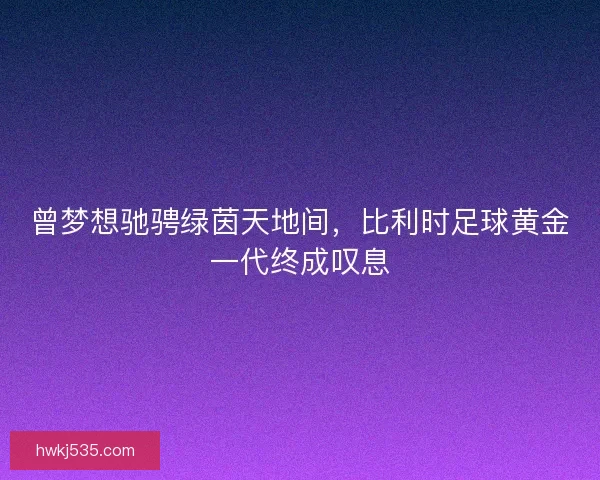 曾梦想驰骋绿茵天地间，比利时足球黄金一代终成叹息